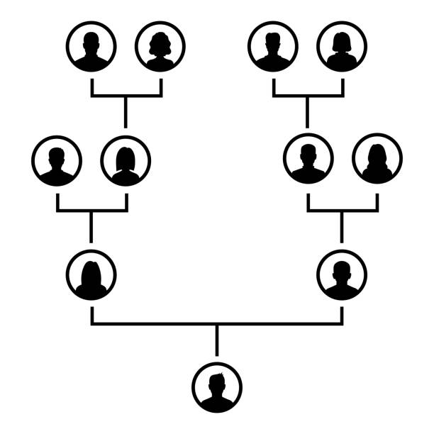 illustrazioni stock, clip art, cartoni animati e icone di tendenza di albero genealogico avatar neri isolati su bianco. layout genealogico vettoriale - albero genealogico