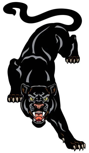 Vector illustration of roaring black panther climbs down. Tattoo