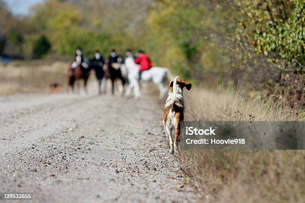 Para Trás Para Trás Para O Cabeçalho De Pacote - Fotografias de stock e mais imagens de Cão - Cão, Partindo, Animais caçando