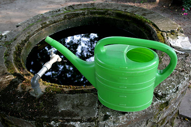 Green watering can stock photo