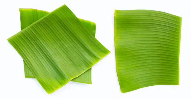 Photo of Banana leaves on white background.