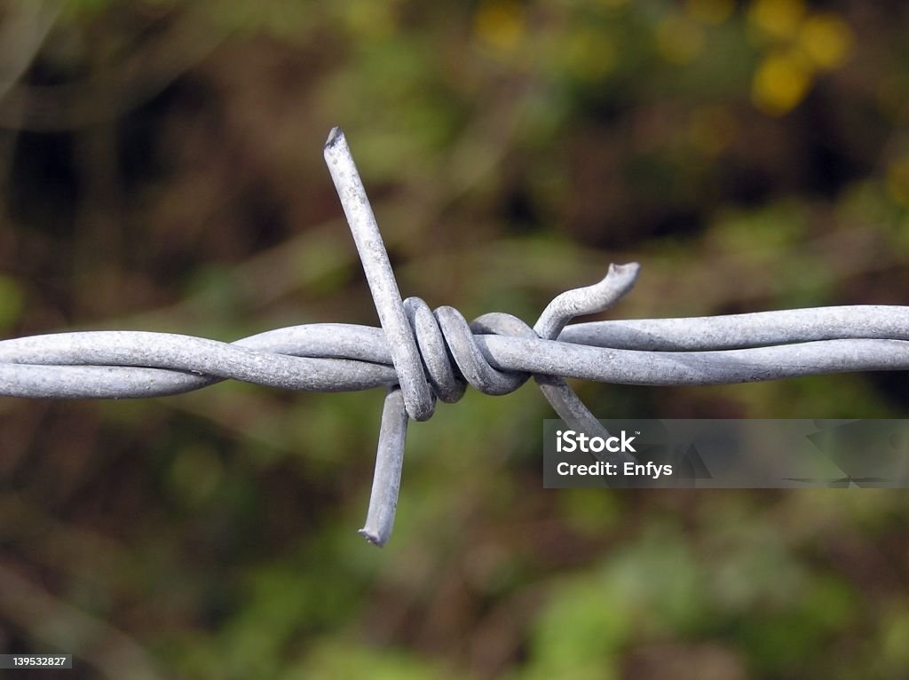 Stacheldraht - Lizenzfrei Agrarbetrieb Stock-Foto