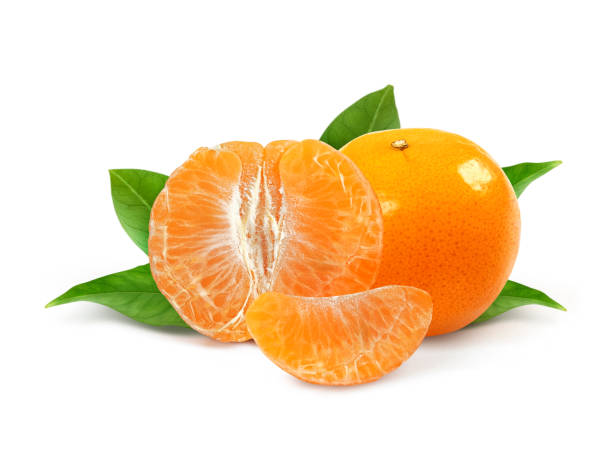 istock tangerine or mandarin fruit with leaves isolated on white background 1395329477