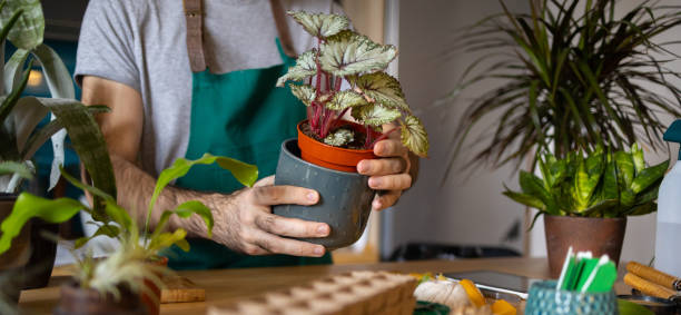istock Taking care of his plants 1395329938