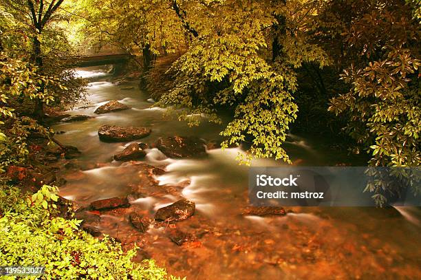 Mountain Stream After A Storm Stock Photo - Download Image Now - Cleaning, Clear Sky, Concepts & Topics