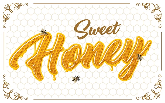 sweet honey lettering with honeycomb patten. Vector shiny illustration