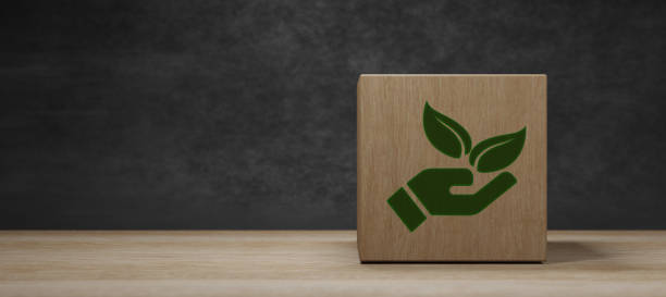 istock Plant in Hands. Ecology concept. Minimalist Background 3d Render 1395333942