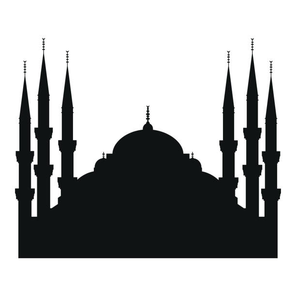 illustrations, cliparts, dessins animés et icônes de illustration vectorielle de la silhouette de la dinde de la mosquée bleue - nemrud dagh mountain turkey history