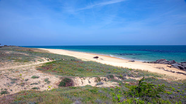 yeu island ile d'yeu ocean atlantique - vendee photos et images de collection