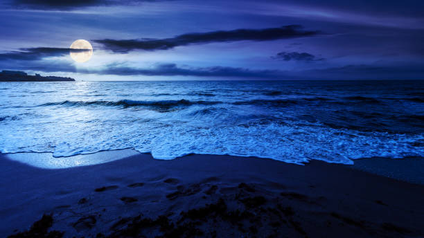 istock sandy beach at night. beautiful seascape background 1395335449