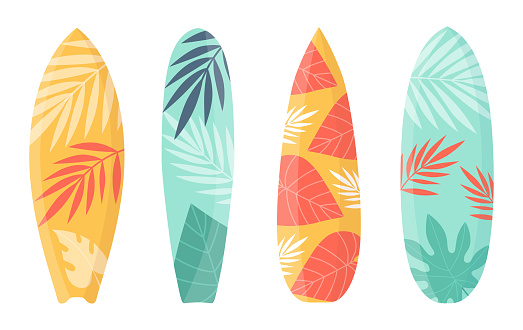 Ilustración de Colección De Tablas De Surf De Dibujos Animados Para Surfear Sobre Olas y más Vectores Libres de Derechos de Surf - iStock Ilustración de Colección De Tablas De Surf De Dibujos Animados Para Surfear Sobre Olas y más Vectores Libres de Derechos de Surf - iStock