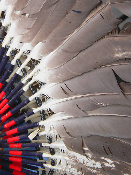 ネイティブアメリカンフェザーズヘッドドレス - feather headdress ストックフォトと画像