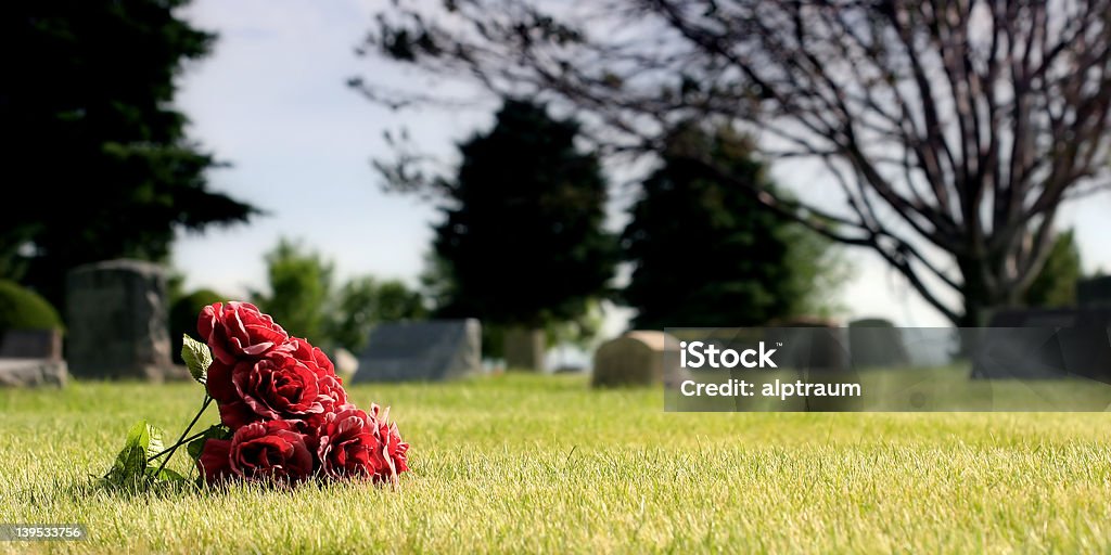 Utracone kwiaty na Cmentarz - Zbiór zdjęć royalty-free (Zielony kolor)