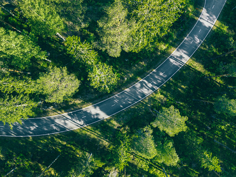Aerial view of forest road in summer Finland.