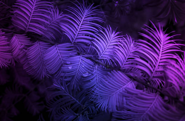 istock banner natural abstract background frame leaves neon colors 1395338729