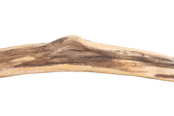 istock Part of driftwood isolated on white 1395338739