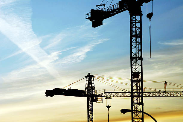 istock Sunset and crane silhouettes 139534011