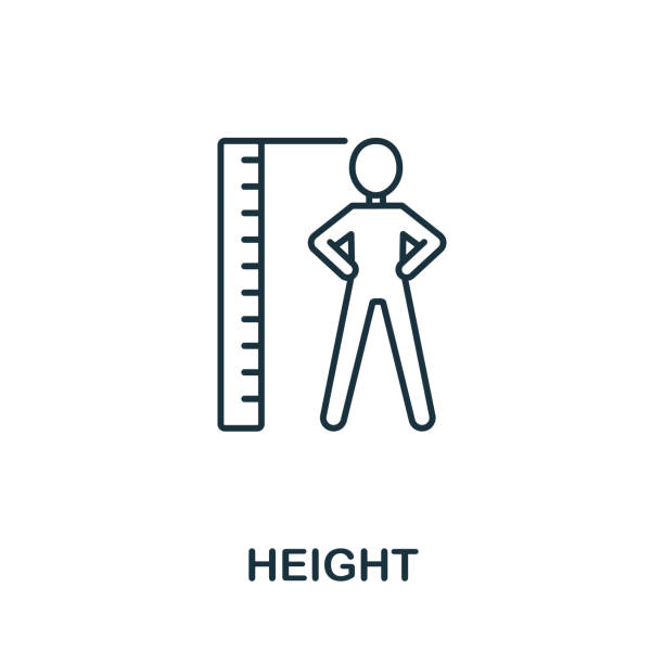 Height icon from health check collection. Simple line Height icon for templates, web design and infographics Height icon from health check collection. Simple line Height icon for templates, web design and infographics. human height stock illustrations