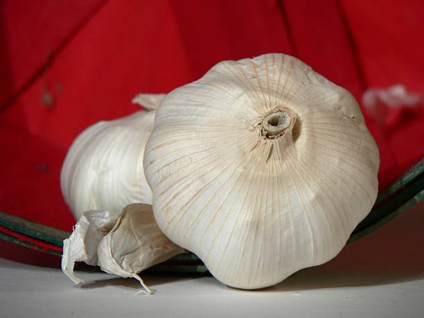 Garlic and basket 2 stock photo