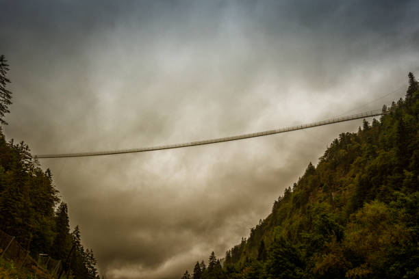 suspension bridge