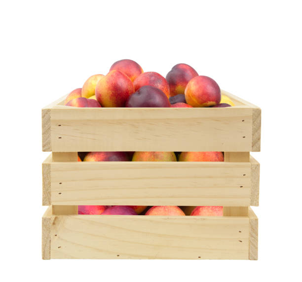 istock Fresh ripe nectarines in wooden crate isolated 1395345375