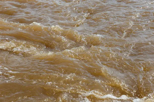 Photo of Muddy river water