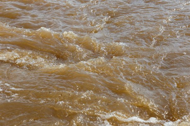 muddy river water - dirty water imagens e fotografias de stock