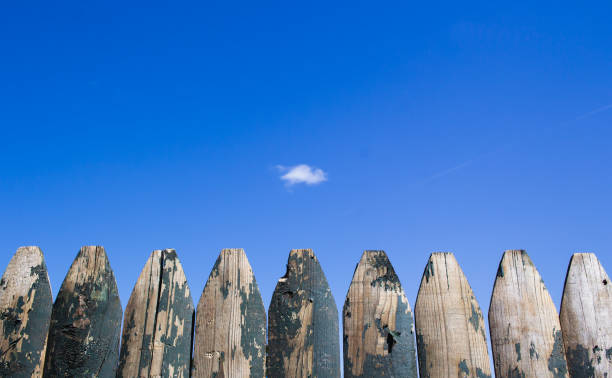 Detail shot of wooden privacy fence and blue sky