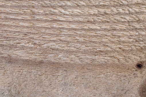 Close-Up Wood Texture. Full frame image