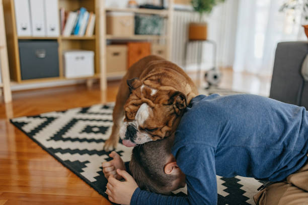 istock Best play is with you 1395346673