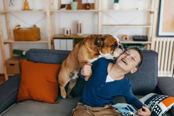 Boy and his dog are having fun at home
