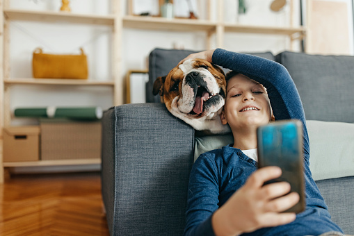 Boy and his dog are having fun together at living room. Dog lying on the sofa while boy sitting on the floor and trying to take selfie wit his pet