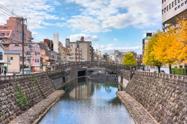 The higashi shimbashi stone bridge crossing the Nakashima river of Nagasaki in autumn. nagasaki, kyushu - december 12 2021: The higashi shimbashi stone bridge crossing the Nakashima river and its riverside promenade bordered by the autumn leaves of a ginkgo biloba trees. japanese weeping willow tree pics stock pictures, royalty-free photos & images