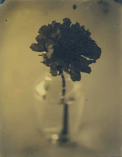 Photo of Antique Flower