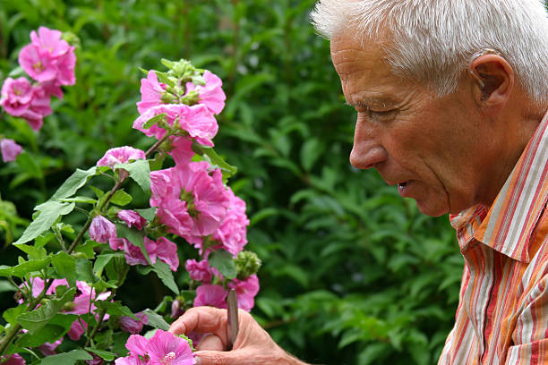 istock In the garden 139534811