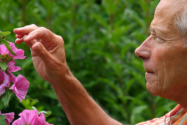 istock In the garden 2 139534858