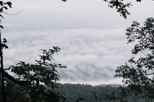 istock beautiful mountain in Thailand 1395348867