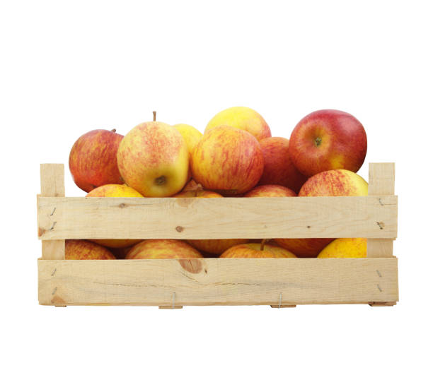 istock Wooden crate with apples isolated on white 1395349036