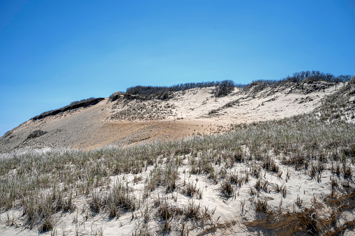Cape Cod in springtime Sand dunes near the Head of the Meadow beach