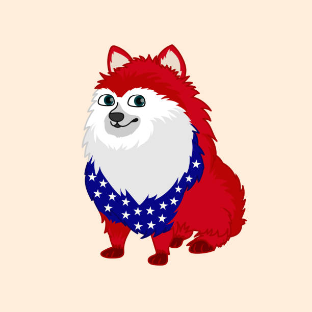 愛国的なポメラニアン犬のイラスト - fourth of july patriotism american flag frame点のイラスト素材／クリップアート素材／マンガ素材／アイコン素材