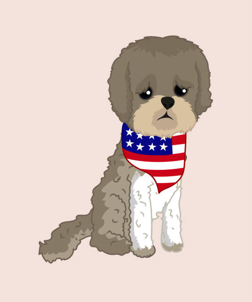 愛国的なシーズー犬が座っている - fourth of july patriotism american flag frame点のイラスト素材／クリップアート素材／マンガ素材／アイコン素材