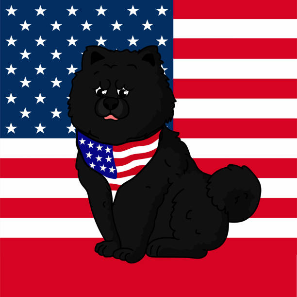 愛国的なブラックチャウチャウ犬のイラスト - fourth of july patriotism american flag frame点の�イラスト素材／クリップアート素材／マンガ素材／アイコン素材