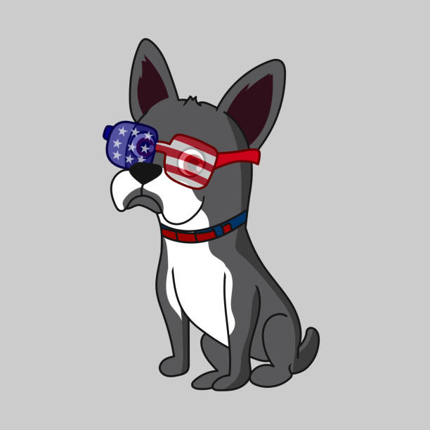 愛国的な漫画の犬の座っているベクトルイラスト - fourth of july patriotism american flag frame点のイラスト素材／クリップアート素材／マンガ素材／アイコン素材