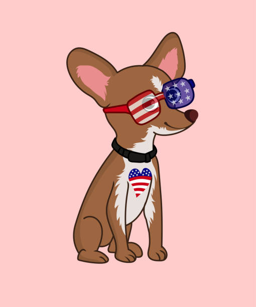 愛国的なチワワ犬ベクターイラスト - fourth of july patriotism american flag frame点のイラスト素材／クリップアート素材／マンガ素材／アイコン素材