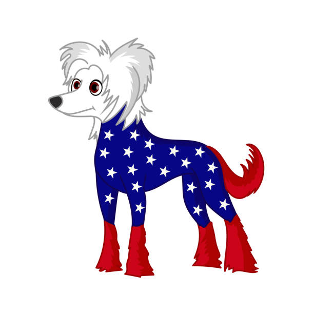 愛国的な中国の紋付き犬 - fourth of july patriotism american flag frame点のイラスト素材／クリップアート素材／マンガ素材／アイコン素材