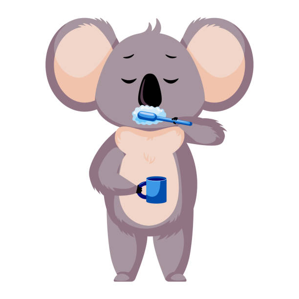 白い背景に隔離された朝のかわいいコアラ洗浄。漫画のキャラクターブラシ歯。 - koala sign australian culture animal点のイラスト素材／クリップアート素材／マンガ素材／アイコン素材