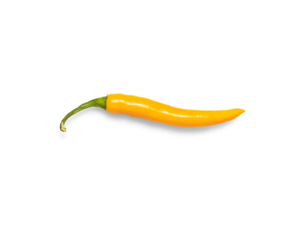 pimenta amarela isolada no fundo branco. foto de estoque
spice - pimenta amarela - fotografias e filmes do acervo