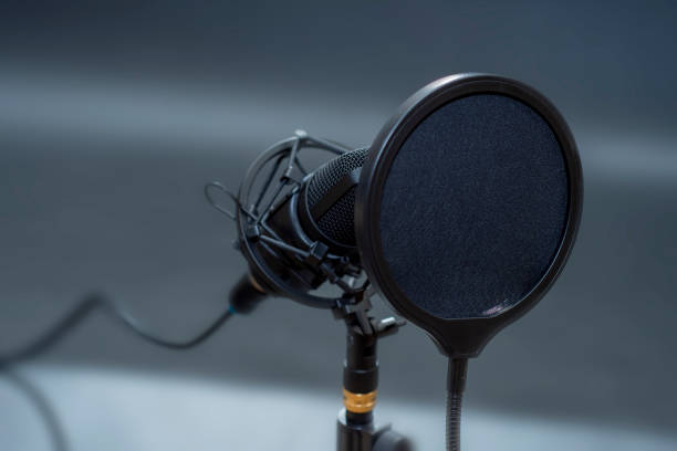 istock Close-up of a professional microphone with a pop filter in front of it. Desktop microphone for recording podcasts, songs and streaming on a stand against a dark background 1395355155