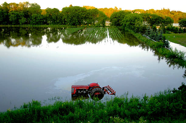 hell field - crop damage stock-fotos und bilder