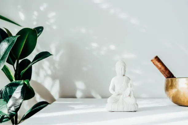 Decorative white Buddha statuette, green plant and tibetian singing bowl on the white background with sun light shadows. Meditation and relaxation ritual. Exotic massage. Minimalism. Copy space